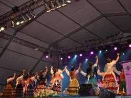 Festival de Folkore en Mula